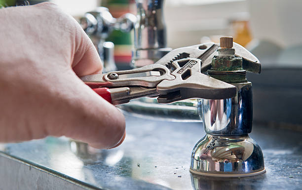 Best Mold removal after water damage  in Skiato, OK