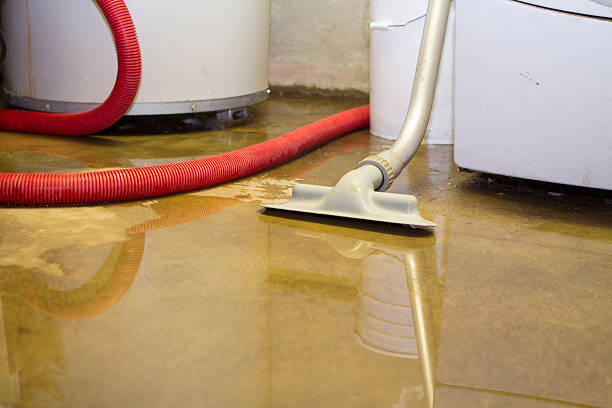 Best Water damage mitigation services  in Skiato, OK