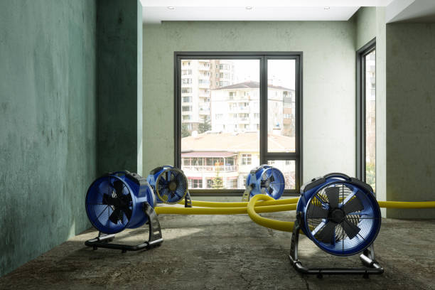 Best Water damage restoration mold remediation  in Skiato, OK